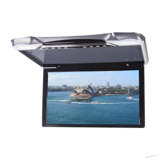 Stropní LCD monitor 11,6" / HDMI / RCA / USB / IR / FM